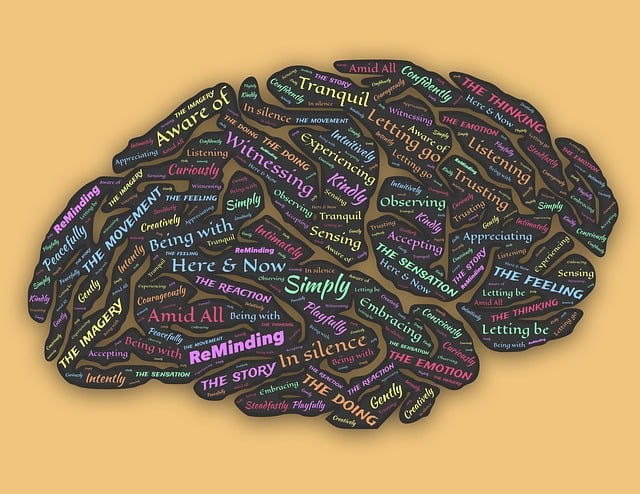 Image of a human brain